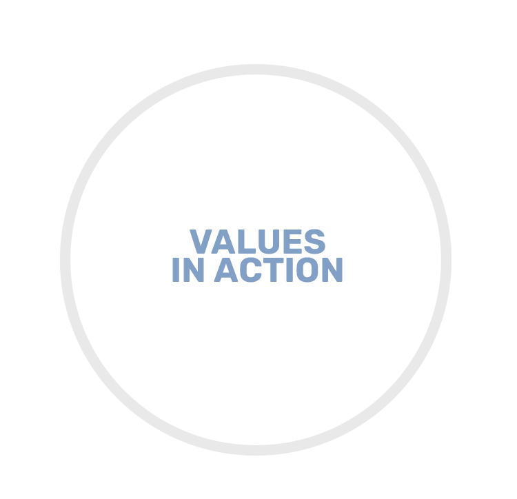 VALUES IN ACTION